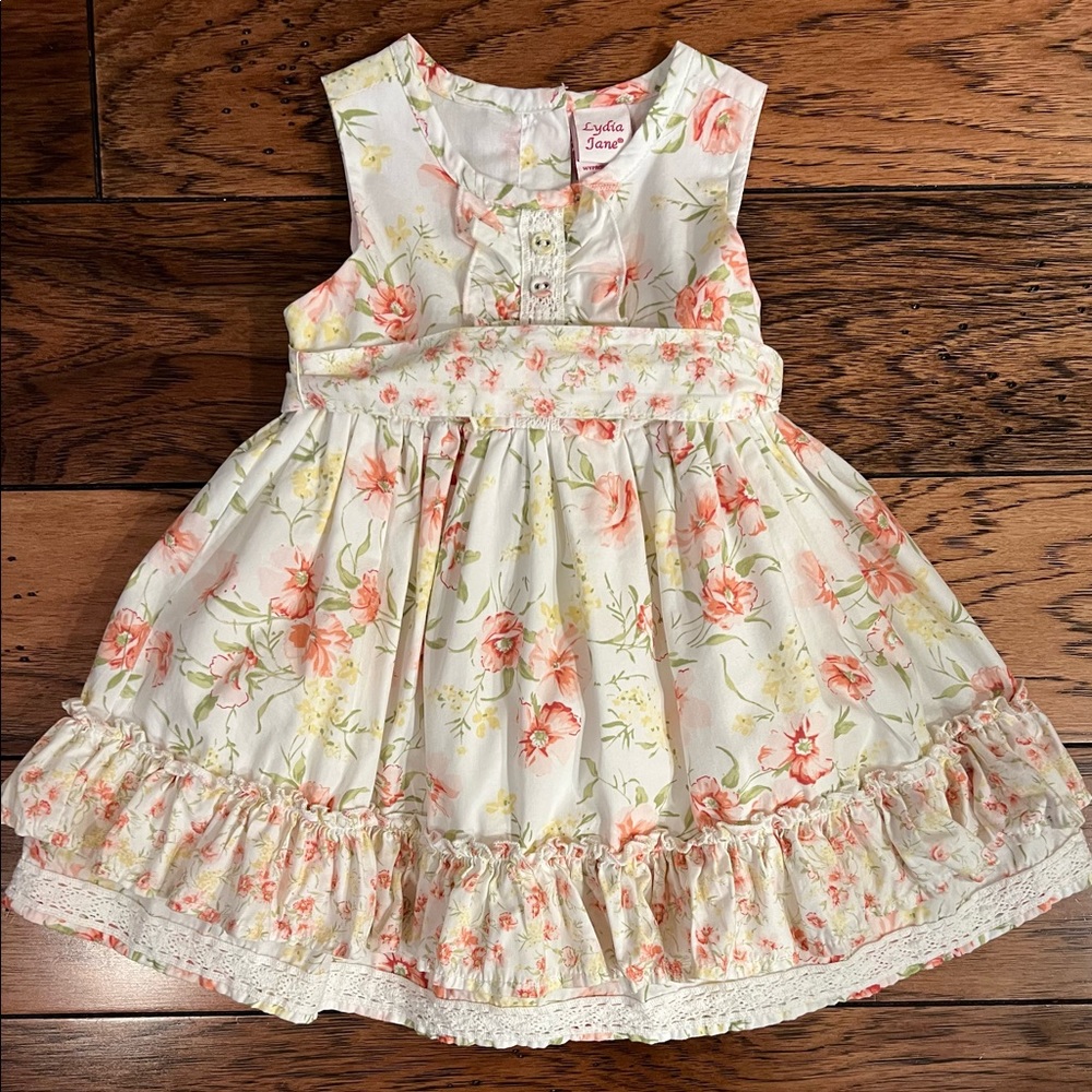 Lydia Jane Girls Dress Size 12 Months